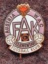 FK Austria WAC Elementar
