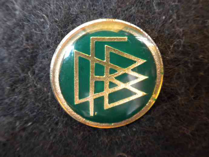 DFB rund, silberne Buchstaben, gr&uuml;ner Grund, plastifiziert