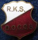 DoCoS Leiden